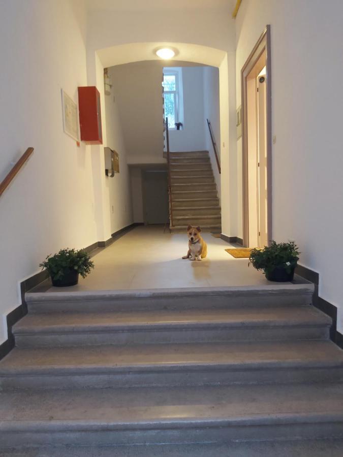 Apartman Draguć Pula Bagian luar foto